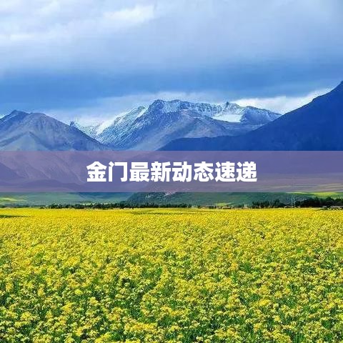 金門最新動態速遞