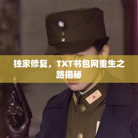 獨家修復,TXT書包網重生之路揭秘
