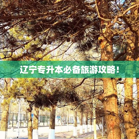 遼寧專升本必備旅游攻略!