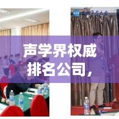 聲學(xué)界權(quán)威排名公司,引領(lǐng)聲學(xué)技術(shù)潮流的先鋒領(lǐng)航者
