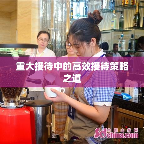 重大接待中的高效接待策略之道