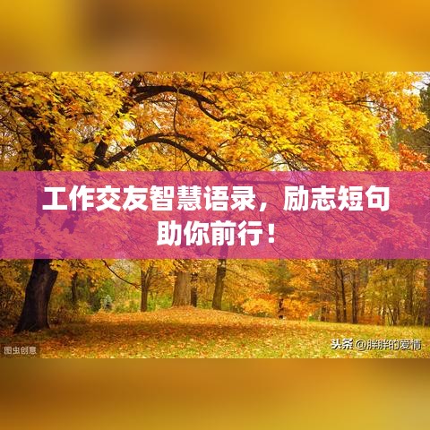工作交友智慧語錄,勵志短句助你前行!