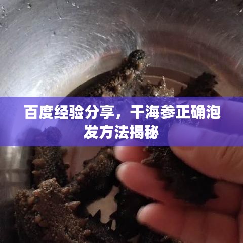 百度經驗分享,干海參正確泡發方法揭秘