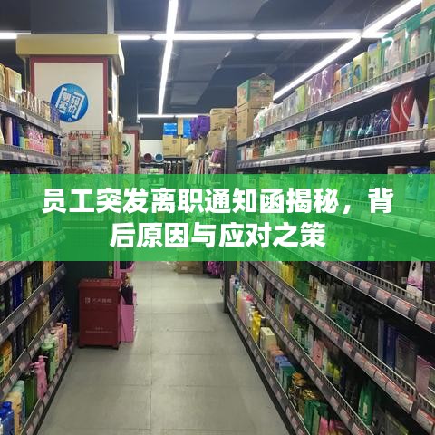 員工突發離職通知函揭秘,背后原因與應對之策