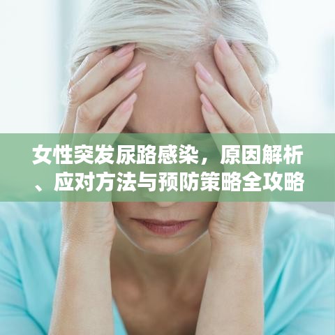 女性突發(fā)尿路感染,原因解析、應(yīng)對方法與預(yù)防策略全攻略