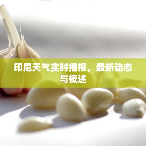 印尼天氣實時播報，最新動態與概述