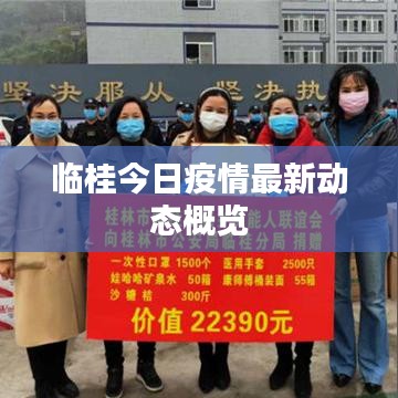 臨桂今日疫情最新動態概覽