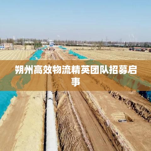 朔州高效物流精英團隊招募啟事