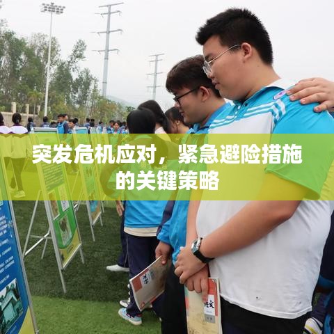 突發危機應對,緊急避險措施的關鍵策略