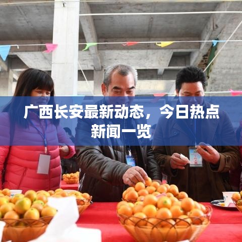 廣西長安最新動態,今日熱點新聞一覽