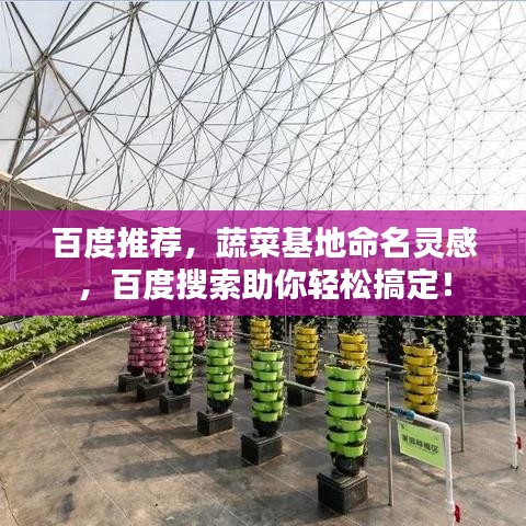 百度推薦，蔬菜基地命名靈感，百度搜索助你輕松搞定！
