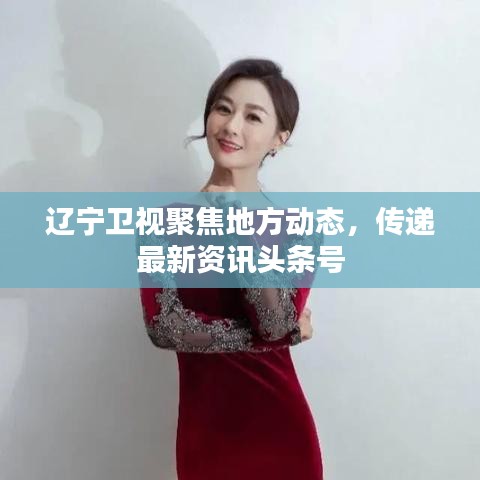 遼寧衛視聚焦地方動態,傳遞最新資訊頭條號