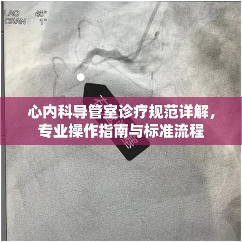 心內科導管室診療規范詳解,專業操作指南與標準流程