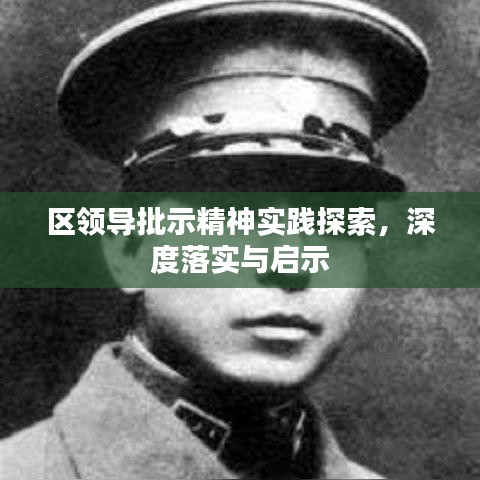 區(qū)領(lǐng)導(dǎo)批示精神實(shí)踐探索,深度落實(shí)與啟示