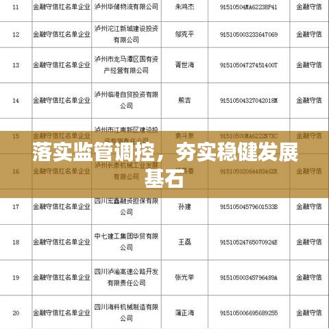 落實監管調控,夯實穩健發展基石