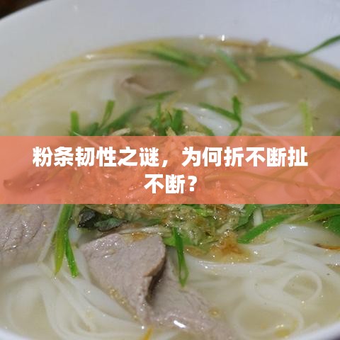 粉條韌性之謎,為何折不斷扯不斷?