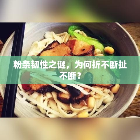 粉條韌性之謎,為何折不斷扯不斷?