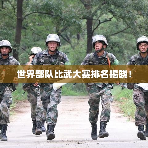 世界部隊比武大賽排名揭曉!