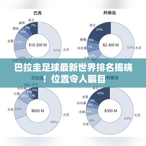 巴拉圭足球最新世界排名揭曉!位置令人矚目