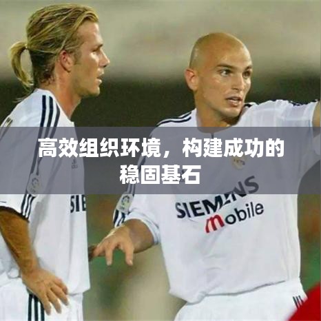 高效組織環(huán)境,構(gòu)建成功的穩(wěn)固基石
