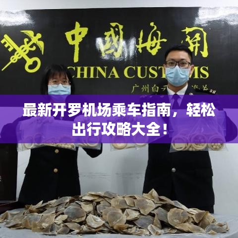 最新開羅機場乘車指南,輕松出行攻略大全!