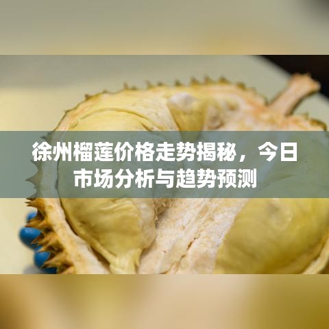 徐州榴蓮價(jià)格走勢(shì)揭秘,今日市場(chǎng)分析與趨勢(shì)預(yù)測(cè)