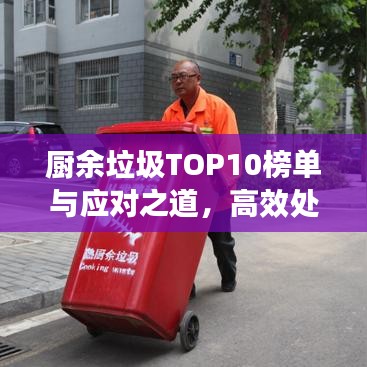 廚余垃圾TOP10榜單與應對之道，高效處理策略揭秘