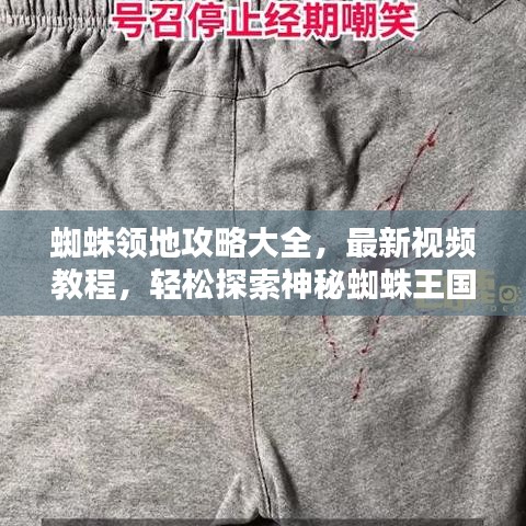 蜘蛛領(lǐng)地攻略大全,最新視頻教程,輕松探索神秘蜘蛛王國(guó)!