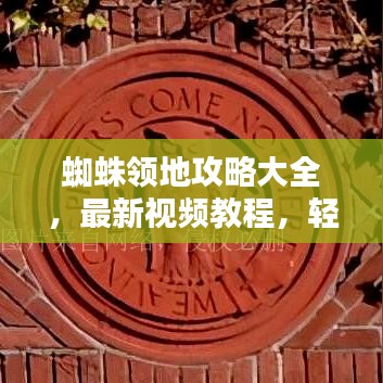 蜘蛛領(lǐng)地攻略大全,最新視頻教程,輕松探索神秘蜘蛛王國!