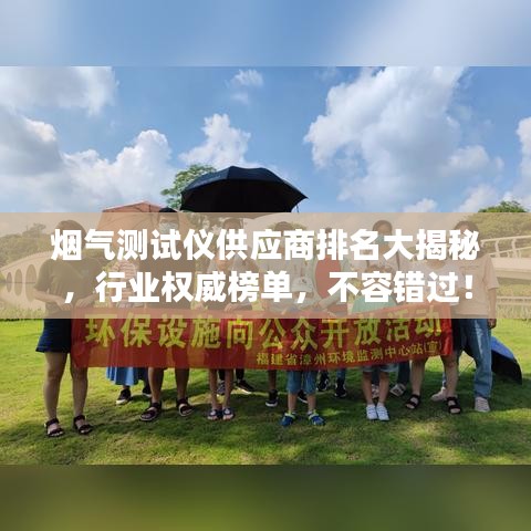 煙氣測試儀供應商排名大揭秘,行業權威榜單,不容錯過!