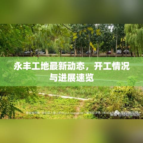 永豐工地最新動態，開工情況與進展速覽