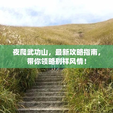夜爬武功山,最新攻略指南,帶你領略別樣風情!