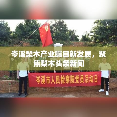 岑溪梨木產(chǎn)業(yè)矚目新發(fā)展,聚焦梨木頭條新聞