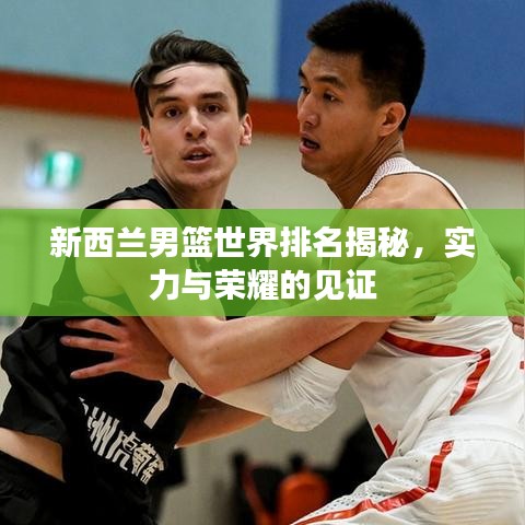 新西蘭男籃世界排名揭秘,實力與榮耀的見證