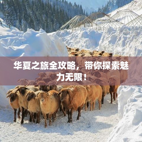 華夏之旅全攻略，帶你探索魅力無(wú)限！