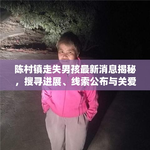 陳村鎮(zhèn)走失男孩最新消息揭秘，搜尋進展、線索公布與關愛行動啟動