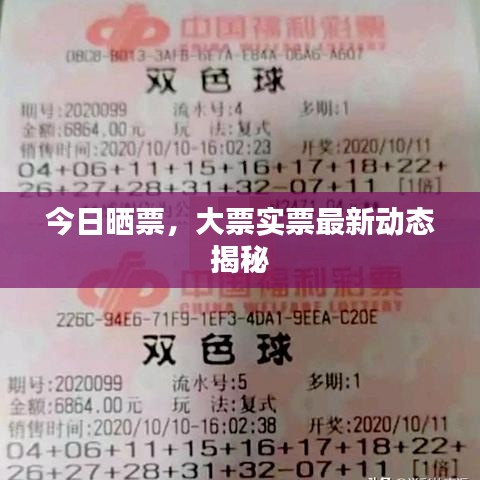 今日曬票,大票實票最新動態揭秘