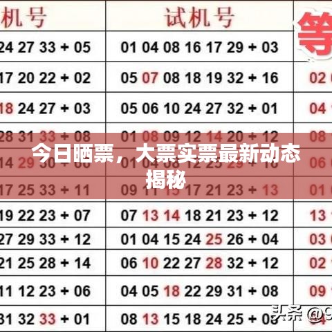 今日曬票,大票實票最新動態揭秘