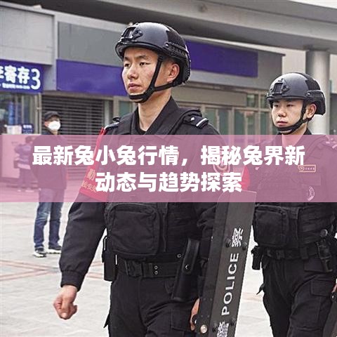 最新兔小兔行情，揭秘兔界新動(dòng)態(tài)與趨勢(shì)探索