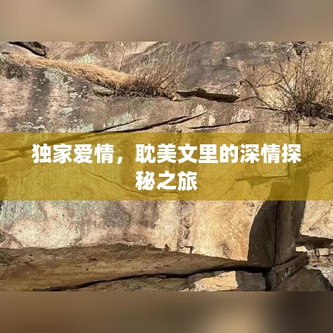 獨家愛情,耽美文里的深情探秘之旅