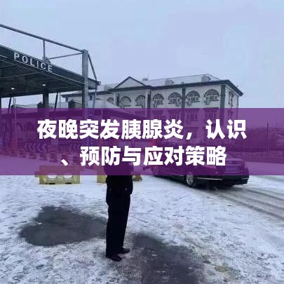 夜晚突發胰腺炎,認識、預防與應對策略