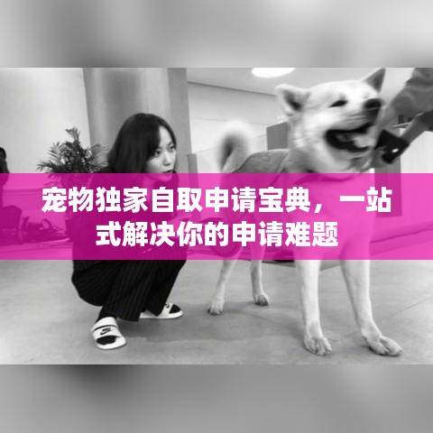 寵物獨家自取申請寶典,一站式解決你的申請難題