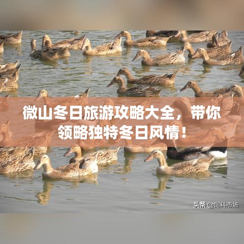 微山冬日旅游攻略大全,帶你領(lǐng)略獨特冬日風情!