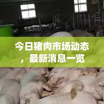 今日豬肉市場動態，最新消息一覽
