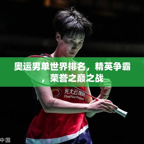 奧運(yùn)男單世界排名，精英爭(zhēng)霸，榮譽(yù)之巔之戰(zhàn)