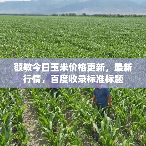 額敏今日玉米價格更新,最新行情,百度收錄標準標題