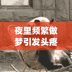 夜里頻繁做夢(mèng)引發(fā)頭疼,原因及解決方法深度解析