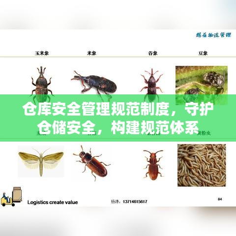 倉庫安全管理規范制度,守護倉儲安全,構建規范體系