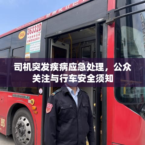 司機突發疾病應急處理,公眾關注與行車安全須知