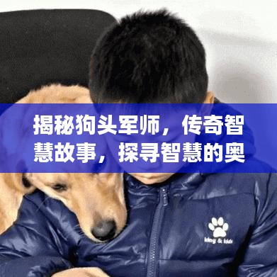 揭秘狗頭軍師,傳奇智慧故事,探尋智慧的奧秘